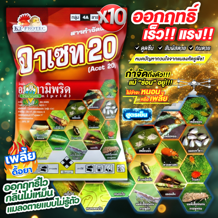 อาเซท 100g ‼️10ซอง‼️ สูตรเย็น อะซีทามิพริด 20% หนอน แมลง เพลี้ย แมลงหวี่ขาว เพลี้ยอ่อน ด้วงหมัดผัก