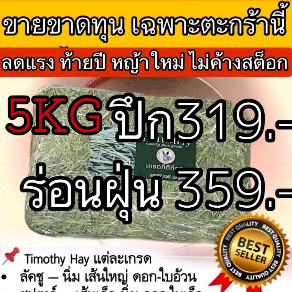 📌ลดแรงที่สุดในไทย📌 หญ้ากระต่าย ทิมโมธีแบบปึก