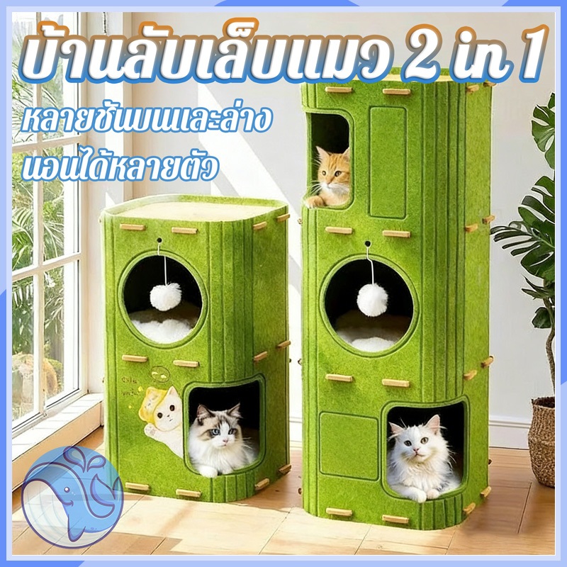 บ้านแมว, บ้านแมวสองชั้นและสามชั้นที่มีรู, คอนโดแมว, บ้านแมวสี่เหลี่ยม, คอนโดแมวทรงกระบอกสไตล์ญี่ปุ่น, ตึกแมว