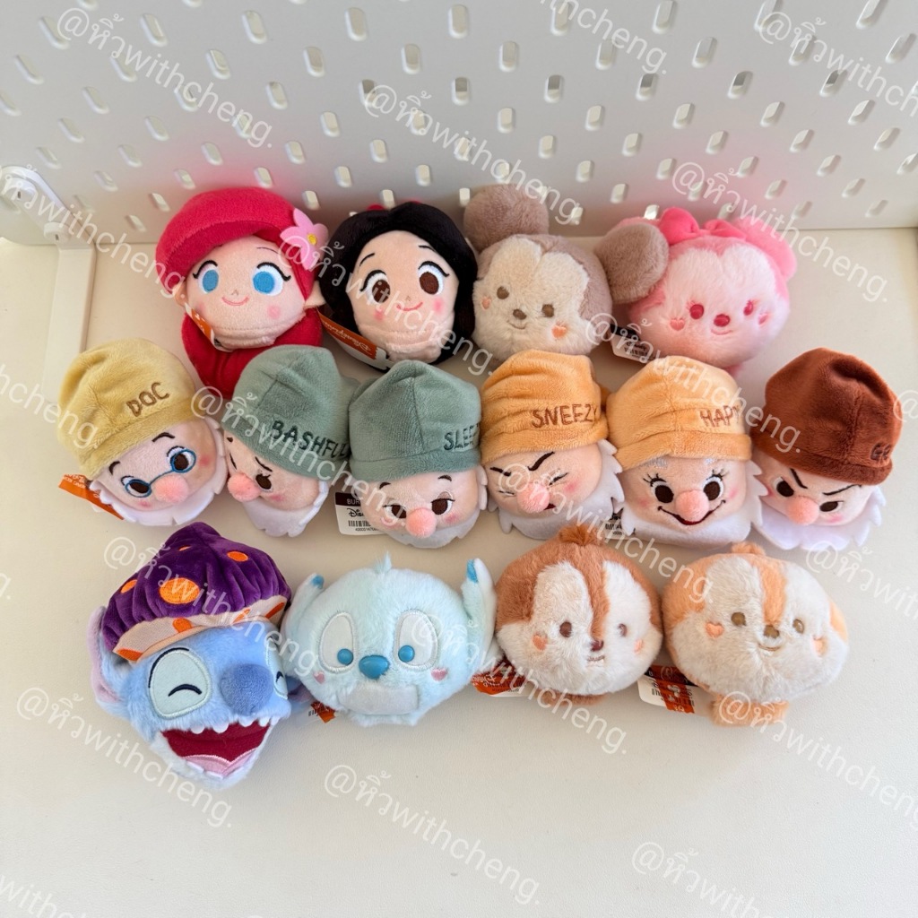 พร้อมส่ง ✅ ตัวรัดที่คาดผม รัดสายชาร์จ Disney Duffy and friend จาก Disneyland Hongkong