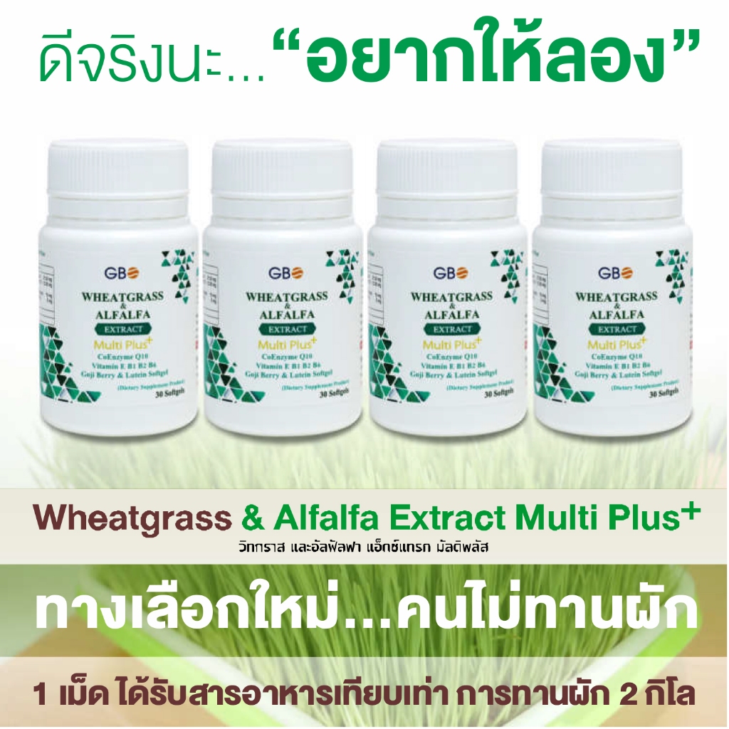** โปรผักเม็ด 4 กระปุก 120 ซอฟเจล ** ผักเม็ด Wheatgrass & Alfalfa Extract Multi Plus+ Q10 (ฟรีค่าส่ง)