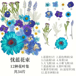 【 😍 มีหลายสไตล์ให้เลือก】 40 ชิ้นความจุขนาดใหญ่ดอกไม้แห้งลายนูนชุดกุหลาบดอกทานตะวันใบไม้รวมกันราคาไม่แพงมาก