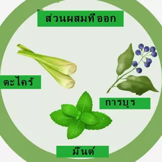 สเปรย์ไล่ตุ๊กแกสำหรับใช้ภายในและภายนอกอาคาร สเปรย์ไล่ตุ๊กแกประสิทธิภาพสูง สเปรย์ไล่ตุ๊กแกในห้องน้ำ