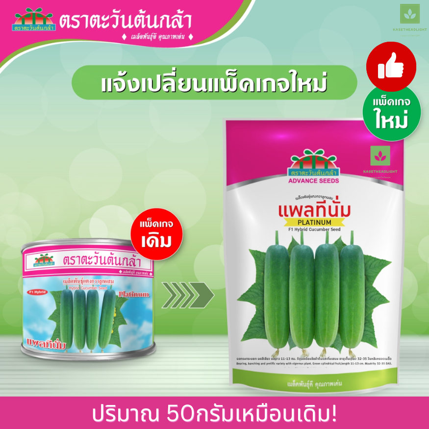 50กรัม แพลทีนั่ม แตงกวา แตงกวาแพตตินั่ม เมล็ดพันธุ์ ตะวันต้นกล้า แตงแพตตินั่ม แพทตินั่ม