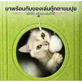 บ้านแมว คอนโดแมว บ้านมีรู 2ชั้น 3ชั้น คอนโดแมวทรงกระบอกดีไซน์ญี่ปุ่น แข็งแรงทนทาน สามารถปีนได้