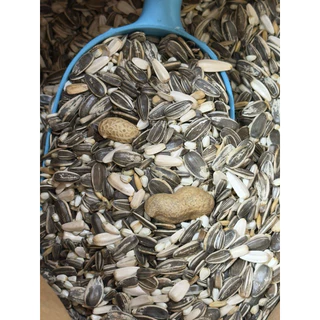 ⓅⓀⒻ (12.5kg.) Farmland Harvest B-10 ธัญพืชผสมสำหรับนกแก้วปากขอขนาดกลางถึงใหญ่