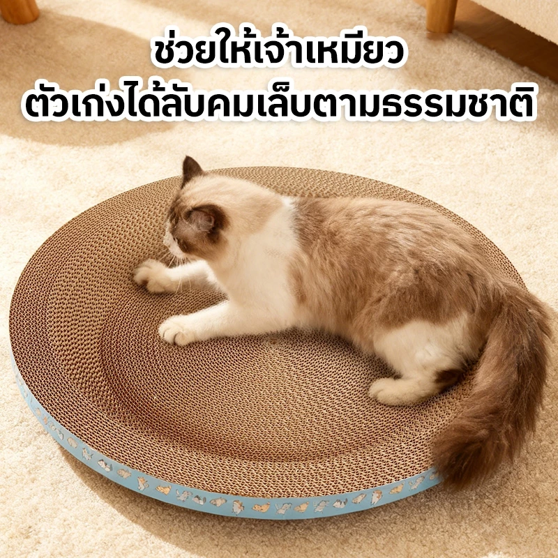 ที่ลับเล็บแมวและที่นอนแมว 2in1 thumbnail 7