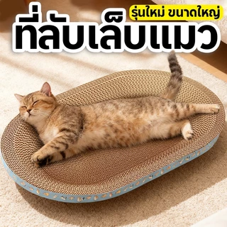 อ่างลับเล็บแมว ทรงวงรี ที่ลับเล็บแมว คุณภาพดี ที่ลับเล็บแม 2in1 กระดาษลับเล็บวงรี ที่ลับเล็บแมว รูปอ่าง ที่ฝนเล็บแมว