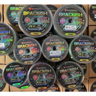 สาย Pe x8 MAHSEER BRACKISH เหนียว ทน เอาอยู่ทุกงาน สีมัลติคั…