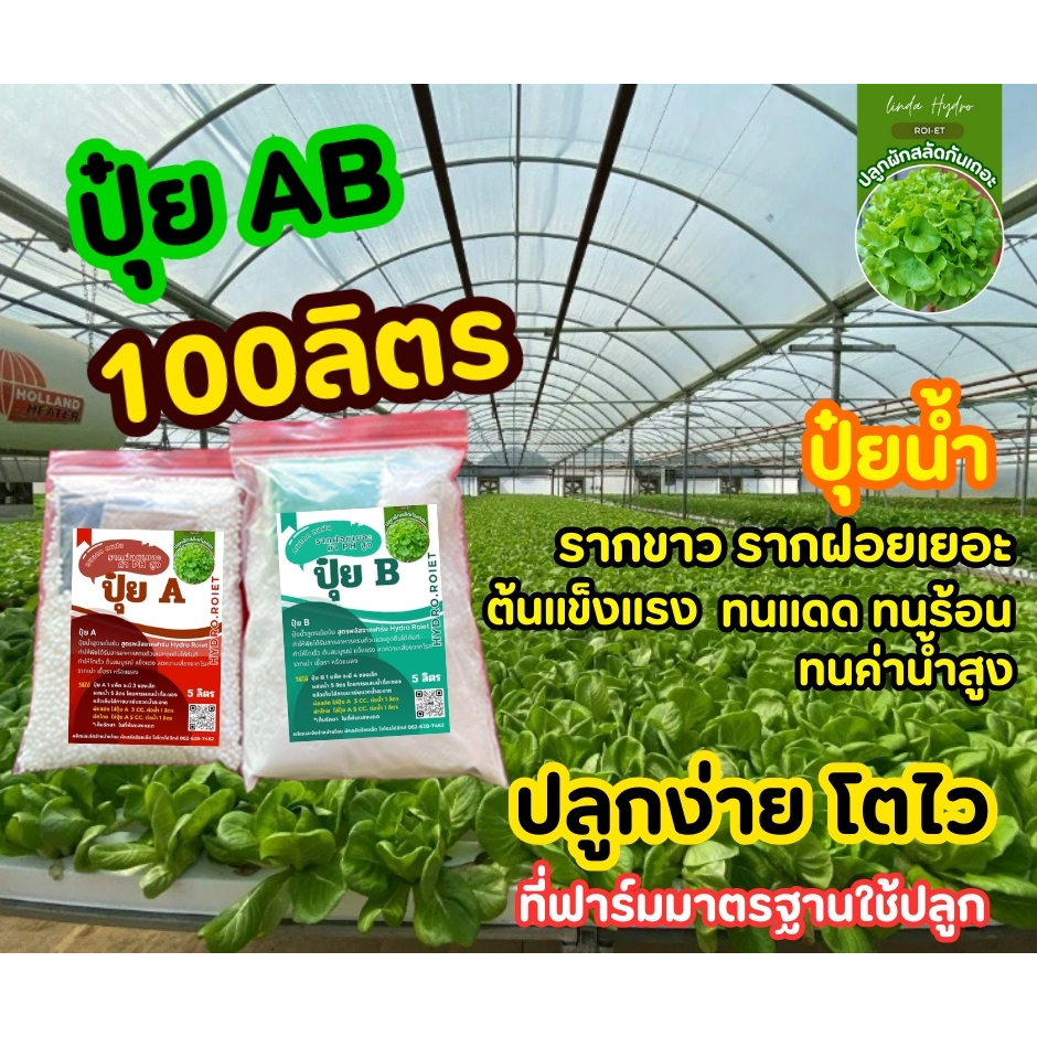 ปุ๋ย AB อย่างละ 100 ลิตร ได้ครบเช็ต คุ้มมาาก ผักไฮโดรโปนิกส์ l คุณภาพดีที่สุด 100%