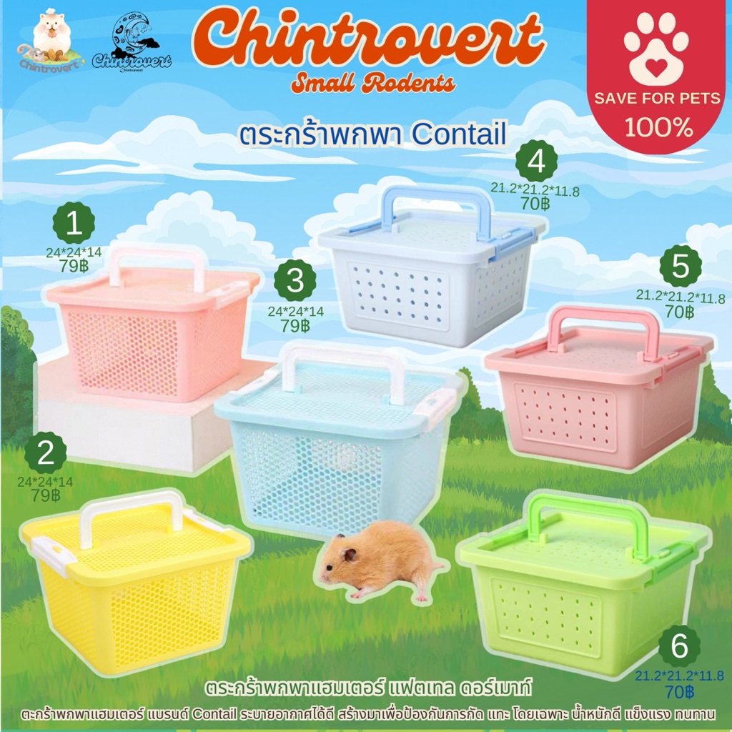Chintrovert | ตะกร้าพกพาแฮมเตอร์ Contail | สำหรับแฮมเตอร์ แฟตเทล ดอร์เมาท์