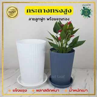 กระถางทรงสูงลายลูกฟูก พร้อมจานรอง มีทั้งหมด 3 ขนาดและมี 3 สี กระถางแข็งแรง พลาสติกหนาอย่างดี น้ำหนักเบา แต่งบ้านแต่งคอนโ