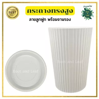 กระถางทรงสูงลายลูกฟูก พร้อมจานรอง มีทั้งหมด 3 ขนาดและมี 3 สี กระถางแข็งแรง พลาสติกหนาอย่างดี น้ำหนักเบา แต่งบ้านแต่งคอนโ