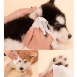 ทิชชูเปียกเช็ดทำความสะอาด Dono Pet Wipes ทิชชู ผ้าเปียก หมา แมว จำนวน70แผ่น และ10แผ่น