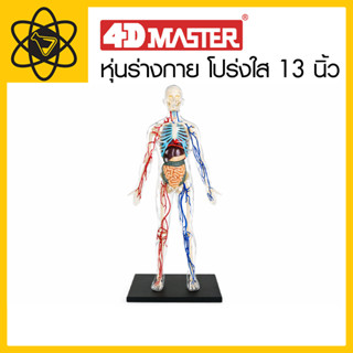 4D Vision หุ่นร่างกาย โปร่งใส 13 นิ้ว 4 มิติ