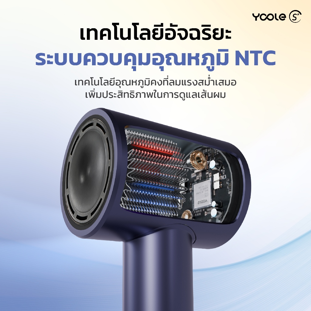 รูปภาพ 5