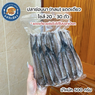 ปลาช่อนนากลมแดดเดียว (ไซส์15-20ตัว) 500 กรัม