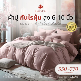 MAPLE'S ผ้าปูที่นอนรัดมุม 550-770เส้น รุ่นSolid/Jacquard กันไรฝุ่น สําหรับคนเป็นภูมิเเพ้ สูง6-10นิ้ว