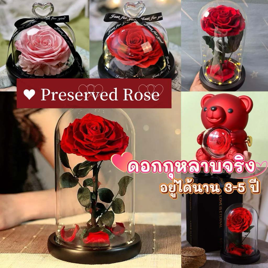 [พร้อมส่ง🚨มีส่งทันที]🌹กุหลาบจริงนาน3-5ปี 🌹 ดอกกุหลาบอมตะ Preserved Rose ของขวัญวาเลนไทน์ ดอกกุหลาบ Valentine
