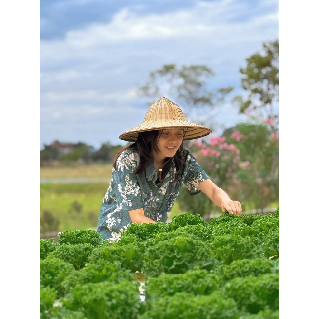 ฟิลเล่ย์เมล็ดดำ ที่นิยมกัน 300 เมล็ด คัดเกรด AAA+ ส่วนลด ราคาถูกลง อัตราการงอกดีเยี่ยม คัดมือ100%