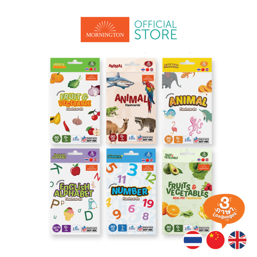Mornington Flashcard ชุดแฟลชการ์ด การ์ดคำศัพท์ บัตรคำ 3 ภาษา เสริมพัฒนาการเด็ก / กล่อง