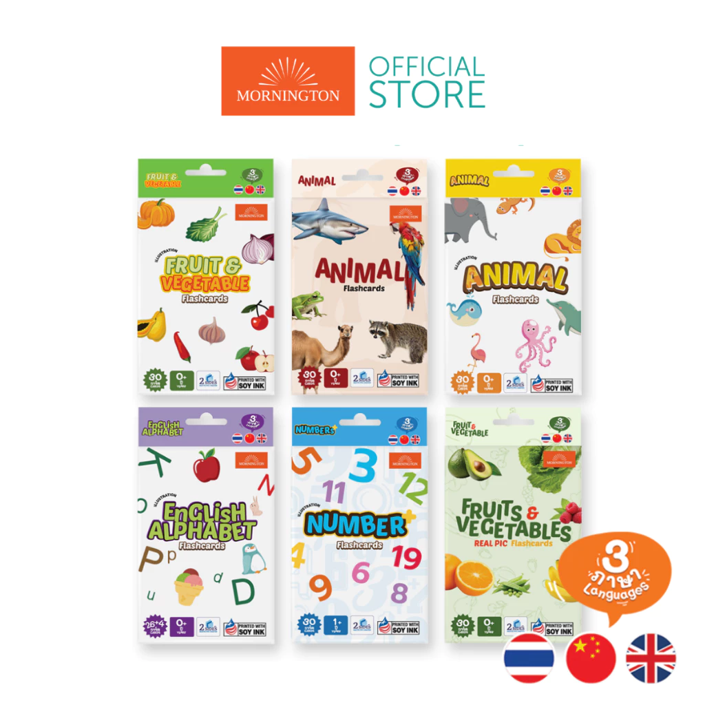 Mornington Flashcard ชุดแฟลชการ์ด การ์ดคำศัพท์ บัตรคำ 3 ภาษา เสริมพัฒนาการเด็ก / กล่อง