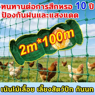 ใช้ได้ 10 ปี ตาข่ายกันนก 2*100ม อวนล้อมไก่ แน่น ทนต่อแรงดึง ทนแดด หนาขึ้น ตาข่ายล้อมไก่ ตาข่ายกันนก อวนเขียว