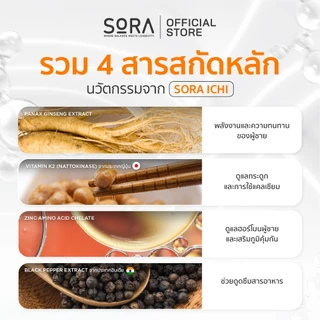 Sora Ichi วิตามินซองกันดรอป 1x30 l เสริมพลังงาน บูสสมอง เสริมภูมิ ไม่ล้าง่าย สำหรับผู้ชาย