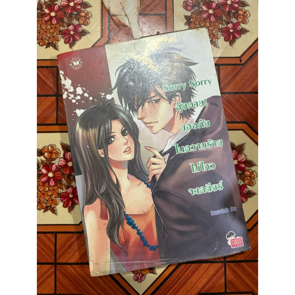 นิยาย Sorry Sorry อุ้ยตาย! ขออภัยในความร้ายไม่ไหวจะเคลียร์