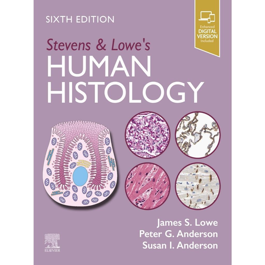 หนังสือ Stevens & Lowe's Human Histology Ed.6/2025