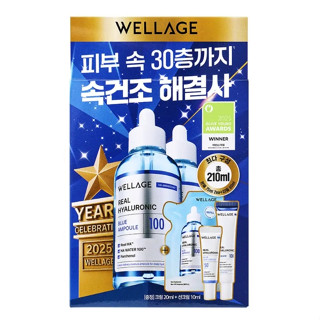 Wellage Real Hyaluronic Blue 100 Ampoule 75ml + 75ml + Refil…