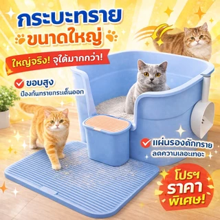 กระบะทรายแมว ขนาดใหญ่ มาพร้อมที่ตักทราย