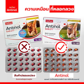 Antinol Dog แอนทินอล อาหารเสริมสุนัข บำรุงข้อ บำรุงข้อต่อ สกัดจากธรรมชาติ (1 กล่อง/60 เม็ด)