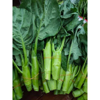 เมล็ดพันธุ์คะน้าเห็ดหอม2,000 เมล็ด 39 บาท
