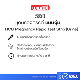 【ที่ตรวจครรภ์】ชุดทดสอบการตั้งครรภ์ ยี่ห้อ Wilbur (HCG) แบบจุ่ม ใช้งานง่าย รู้ผลไว 3 นาที แม่นยำ 99% มี อย.ไทย