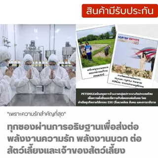 PETSMILE แชมพูป้องกันแบล็คสกินและเชื้อรา สำหรับปอมเมอเรเนียน 550ml