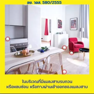 ลดๆ🎯 เบเยอร์ เจล กำจัดแมลงสาบ Bayer Blattanex 12 กรัม เบเยอร์ แมลงสาบ เจลแมลงสาบ