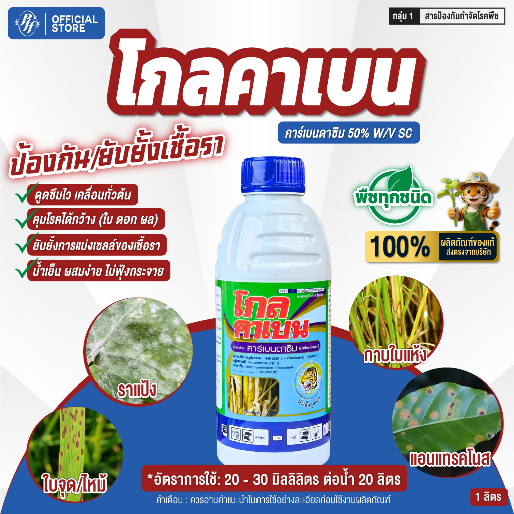 โกลคาเบน 1 ลิตร   คาร์เบนดาซิม ยาเชื้อรา หัวเสือ โกลบอล โรคแอนแทรกโนส ใบจุด ใบไหม้ ราดำ ราแป้ง กาบใบแห้ง