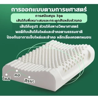 HT หมอน หมอนยางพาราธรรมชาติ 100% ลดกรน กันไรฝุ่น ไม่ปวดคอ หมอนเพื่อสุขภาพ รูปทรงโค้งมน ช่วยให้หลับสบาย