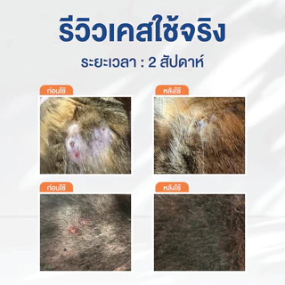Mommam Barrier Protection Set แชมพูอาบน้ำ + สเปรย์มอมแมม ดูแลเชื้อราให้หาย ไม่เป็นซ้ำ บำรุงขนนุ่มสวย