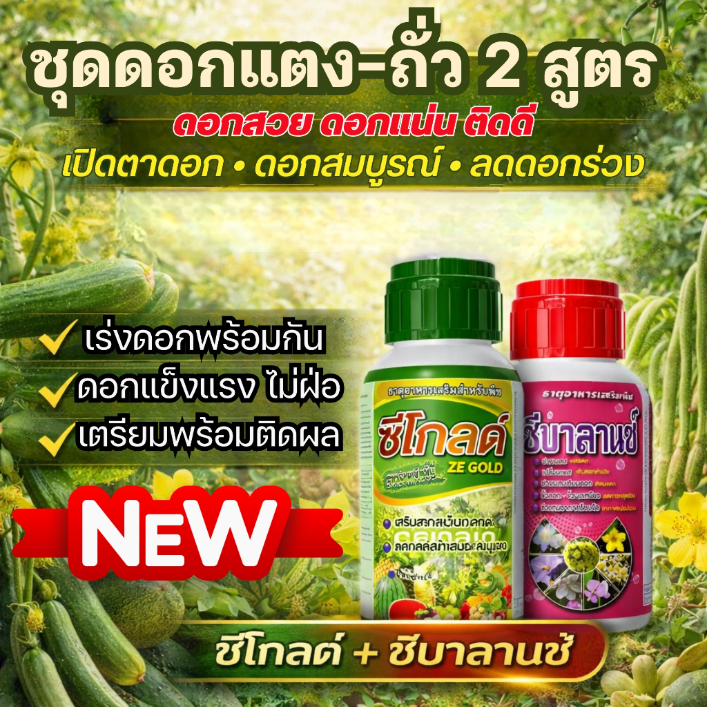 ชุดดอกแน่น ติดดี แตง–ถั่ว | ซีโกลด์ + ซีบาลานซ์ | เร่งดอก