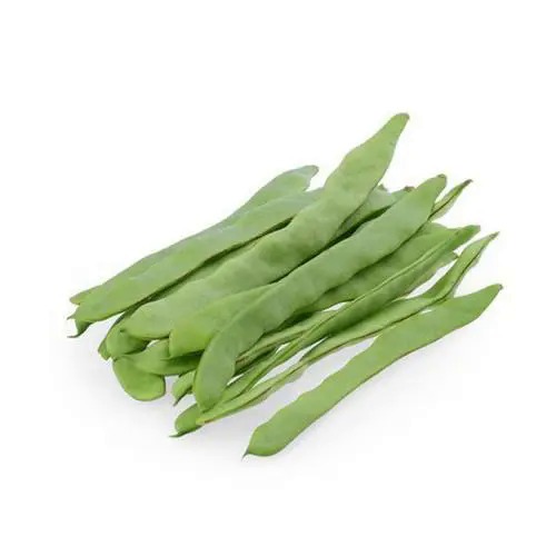 French Bean Seeds/BAGUIO BEANS เมล็ดพันธุ์ถั่ว3ฟุต 10เมล็ด ถั่วฝักยาว3ฟุต ถั่ว 3 ฟุต Yard Long Bean - รูปที่ 6