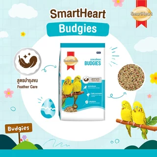 (โฉมใหม่!) สมาร์ทฮาร์ท อาหารนกหงส์หยก สูตรบำรุงขน1 กก. / SmartHeart Budgies Food Feather Care 1 kg.