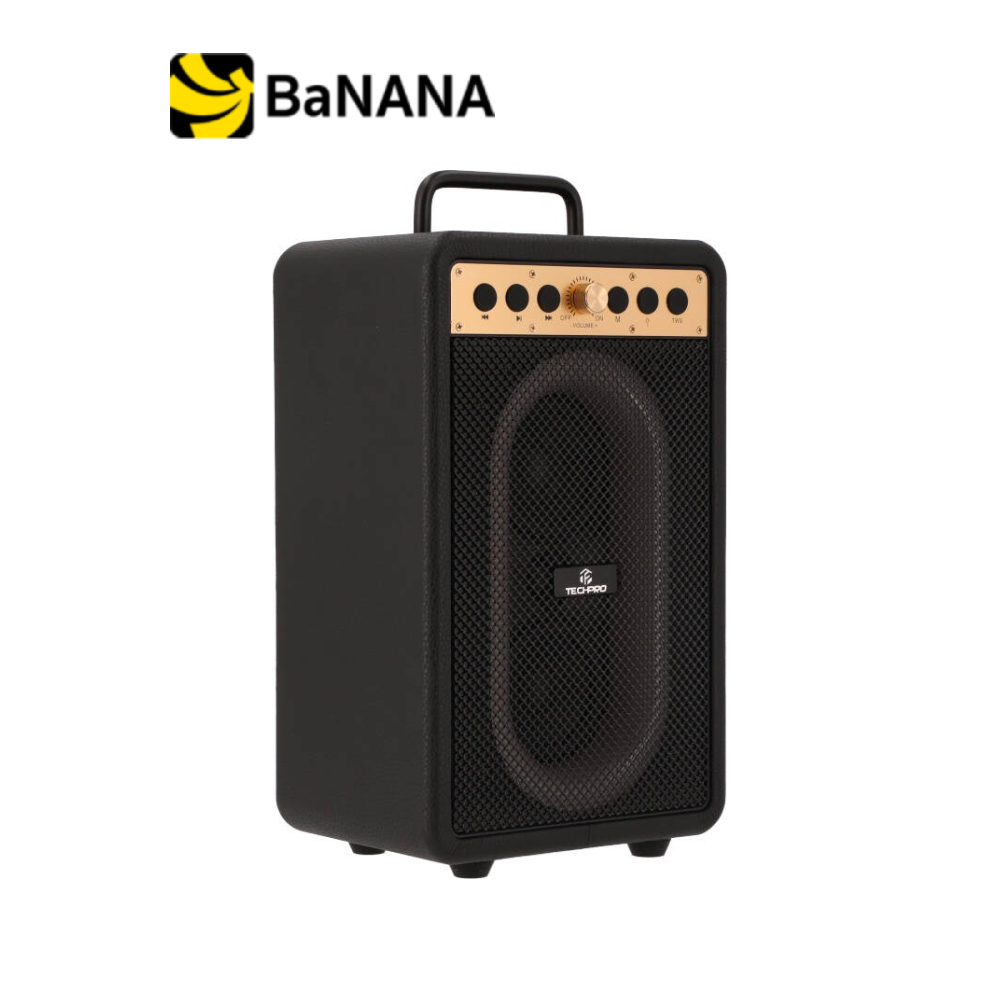 ลำโพงบลูทูธ TECHPRO VibeBox S3202 by Banana IT