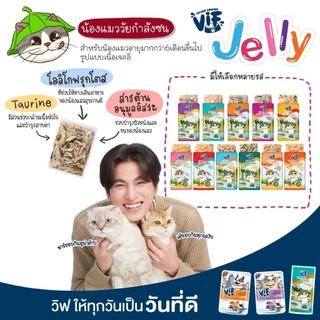 *ยกโหล12ซองx75g* Felina Canino VIF อาหารเปียกแมว เฟลินา คานิโน วิฟ ขนาด 75 กรัม