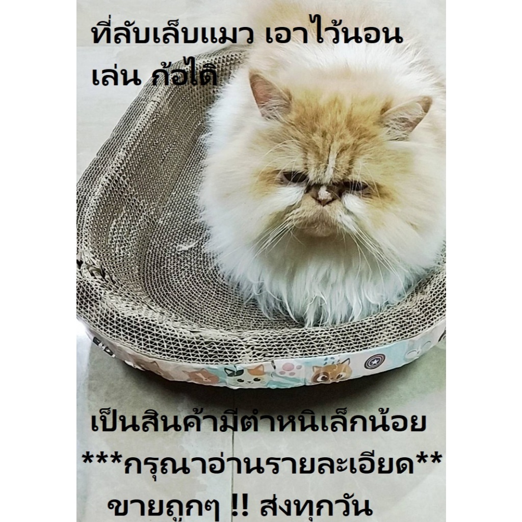 ที่ลับเล็บแมว เป็นที่นอนแมวไปในตัว *** สินค้ามีตำหนิเล็กน้อย กรุณาอ่านรายละเอียด ขายถูก***