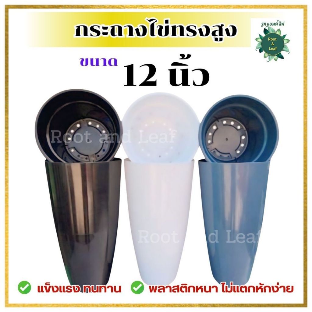 กระถางไข่ทรงสูง ขนาด 12 นิ้ว กระถางพลาสติกหนาเกรดดี ทนทาน ไม่แตกหักง่าย มีให้เลือกทั้งหมด 3 สี