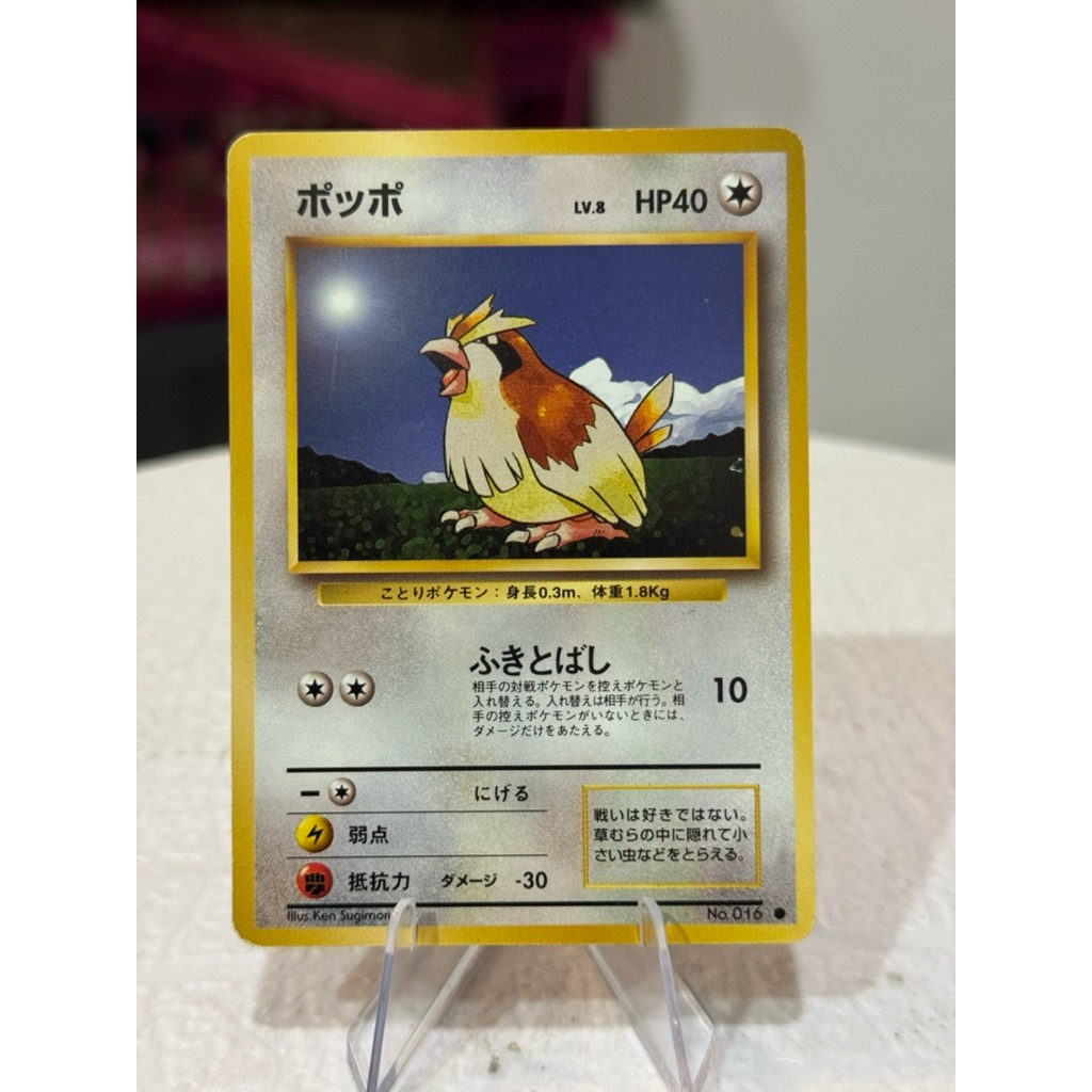 Pidgey No. 016 Old Back Pokemon Card TCG Japan Japanese 1996 Original