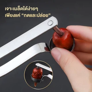ที่เจาะเมล็ดผลไม้ ที่คว้านเมล็ด เจาะเมล็ดสำหรับ เชอร์รี่ ลำไย พุทรา แบบพกพา ทนทาน ที่แกะเมล็ด อุปกรณ์ในครัวอเนกประสงค์