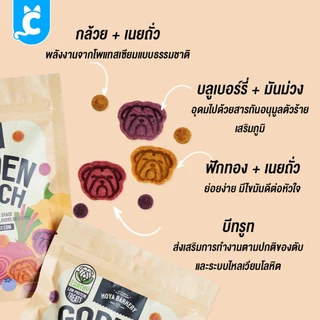 [ส่งฟรี🇹🇭] Hoya Barkery ผลไม้อบแห้ง Earthy Line คุ้กกี้ผลไม้ผัก ขนมสุนัข ขนมแมว โปรตีนต่ำ CleverPet